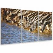 Tableau triptyque deco zebres se desalterant - 90x60 cm