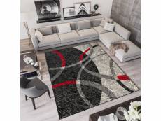 Tapiso qmega tapis salon moderne gris noir rouge cercles