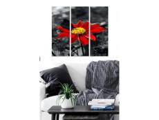 Triptyque fabulosus l70xh50cm motif chrysanthème papillon noir et rouge