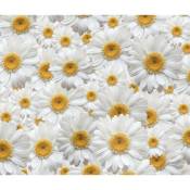 Flowers, Marguerite rideau imprimés Zoom sur de très