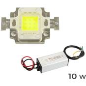 Kit de plaques led et driver dimmable led lumière froide de 10-20-30-50-100 watt Watt: 10 Watt