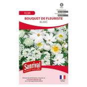Sanrival - Mélange de graines de fleurs blanches