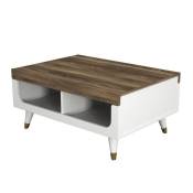 Table basse Pretty de style scandinave en blanc-noyer rectangulaire 90x43,6x63,6cm
