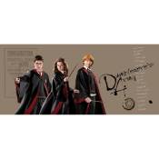 Ag Art - Poster géant horizontal Harry Potter et ses amis Hermione et Ron 170 x 75 cm