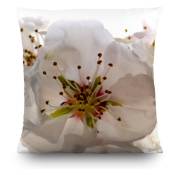 Coussin fleurs blanches - 45 cm x 45 cm