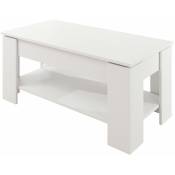 Design Ameublement - Table basse plateau relevable avec coffre 100x50x43,5 (52,3)cm Modèle Nicoleta Blanc Finition brillante - Blanc