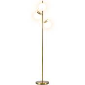Homcom - Lampadaire globe design néo-rétro 3 ampoules max. 40 w 169H cm métal doré - Doré