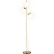 Homcom - Lampadaire globe design néo-rétro 3 ampoules max. 40 w 169H cm métal doré