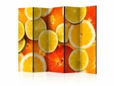 Paris prix - paravent 5 volets "citrus fruits" 172x225cm