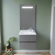 Cuisibane - Meuble vasque tout inox rosinox 60 cm + miroir Elégance ht105- Gris- Plan vasque en Résine - Gris mat