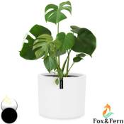 Fox & Fern Pot de Fleur Interieur et Extérieur, Jardinieres Exterieur, Pot Plante Résistant uv et Gel avec Bouchon de Drainage, Fiberstone,