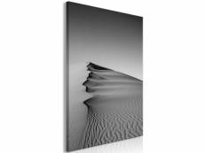 Tableau desert (1 part) vertical taille 80 x 120 cm