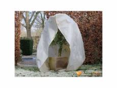 Icaverne - accessoires de jardinage serie nature couverture d'hiver avec fermeture 70 g/m² beige 2x1,5x1,5 m