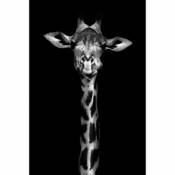 Toile imprimée noir et blanc Girafe Dada Art orientation