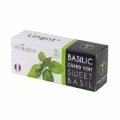 Lingot® Basilic grand vert Bio pour potager Véritable®