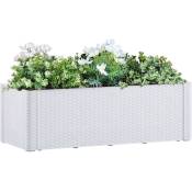 Vidaxl - Lit surélevé de jardin et système d'arrosage Blanc 100x43x33 cm
