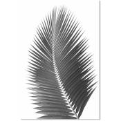 Affiche Single palme - 40x60cm - made in France - Blanc