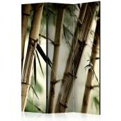 Artgeist - Paravent Décoratif d'Ambiance Forêt de Bambous Zen - Vert et Bronze - Vert et Bronze