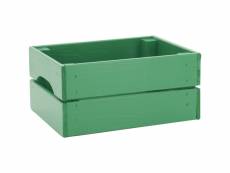 Caisse de rangement en pin petit modèle 31 x 25 15 cm vert menthe