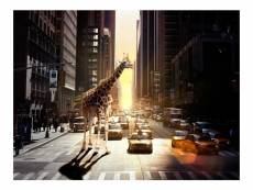Papier peint - girafe à new york 300x231 cm