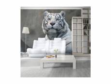 Papier peint tigre du bengale au zoo 2 l 450 x h 270 cm A1-F4TNT0457-P