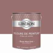 Peinture murs plafonds et boiseries Velours de peinture rose merciere Liberon 2 5L