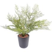 Plante artificielle haute gamme Spécial extérieur / Asparagus artificiel - Hauteur : 50cm Pegane