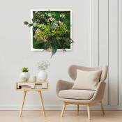 Photos de plantes fleurs plantes murales stabilisées ForestMoss Persephone Taille: 40 x 40 cm - Couleur du cadre: Blanc