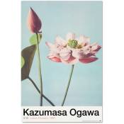 Poster fleurs de lotus par k.ogawa