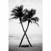 Tableau sur toile palmiers noir et blanc 30x45 cm -