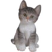 Vivid Arts - Chaton en résine 20 cm Kitten - Gris