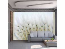 Papier peint intissé fleurs forêt de pissenlits taille 200 x 154 cm PD13598-200-154