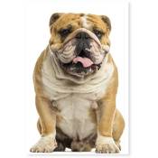 Hxadeco - Tableau Portrait Bulldog anglais - 50x80cm - made in France - Marron
