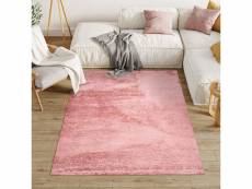 Tapiso evra tapis salon chambre rose unicolore shaggy poils longs 300x400 7447 NEW ROSE 3,00*4,00 EVRA