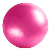 Ballon de Gym, d'Exercices Fitness, Grossesse, Pilates, Yoga, Ballon d'Equilibre D. 65 cm en PVC Anti-Eclatement (Rose) - D-Work - Rose