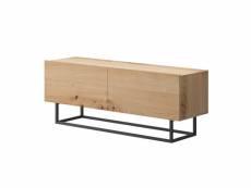 Kyle - meuble tv 2 portes - bois et métal noir - 120 cm - style industriel - bestmobilier - bois