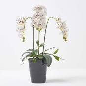 Homescapes - Orchidée artificielle blanche en pot en céramique noir 56 cm - Blanc