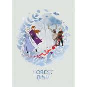 Poster Disney La Reine des Neiges 2 - Esprit de la forêt 40 cm x 50 cm
