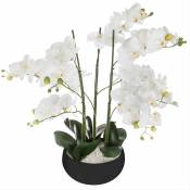 Silumen - Orchidée Artificielle 65cm avec Pot en Céramique - Couleur Uni - - Blanc|Noir