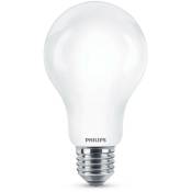 Ampoule Led Standard E27 17,5w 2452lm 6500k Lumière