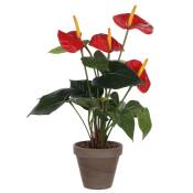 Anthurium plante artificielle rouge en pot H40
