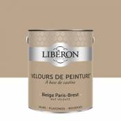 Peinture murs plafonds et boiseries Velours de peinture beige paris-brest Liberon 2 5L