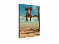 Tableau - rest in the desert-40x60 A1-N6521
