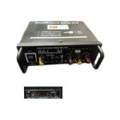 Trade Shop Traesio - Amplificateur Audio 12v 220v Usb