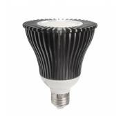 Ecolife Lighting - Ampoule led E27 - 20W - cob Sharp - PAR30 - Blanc Chaud
