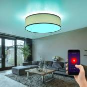 Plafonnier Smart Home dimmable bois optique gris clair Alexa google dans un ensemble comprenant un éclairage led rgb