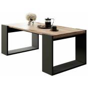 Table basse 120x55cm WOODY couleur Wotan design moderne
