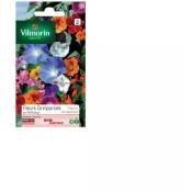 Vilmorin - Sachet graines Fleurs grimpantes en mélange