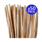 50 x Tuter en bambou de 105 cm, diamètre 8-10 mm.