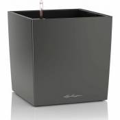 Lechuza - Cube Premium 50 - Kit Complet, anthracite métallisé 50 cm